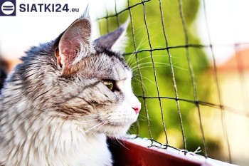 Siatki Świętochłowice - Siatka na balkony dla kota i zabezpieczenie dzieci dla terenów Świętochłowic